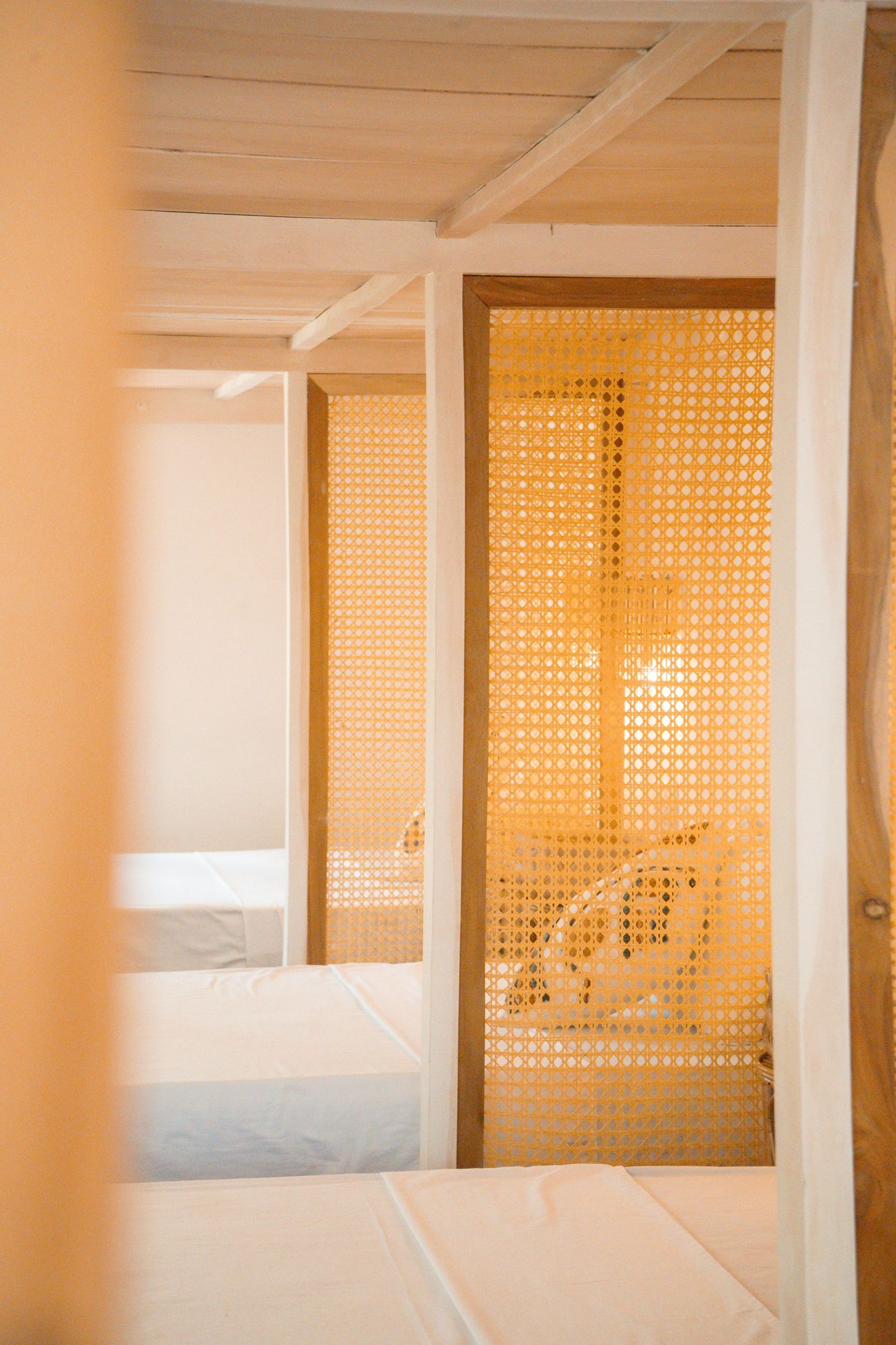 Light through the cane privacy screens