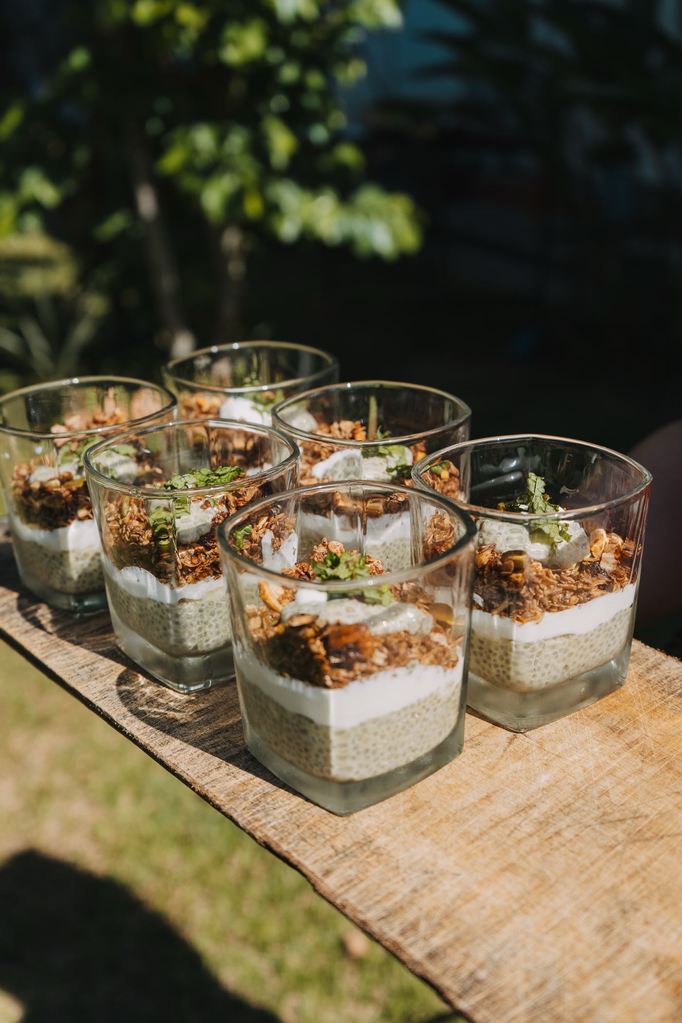 Chia pots ready after class