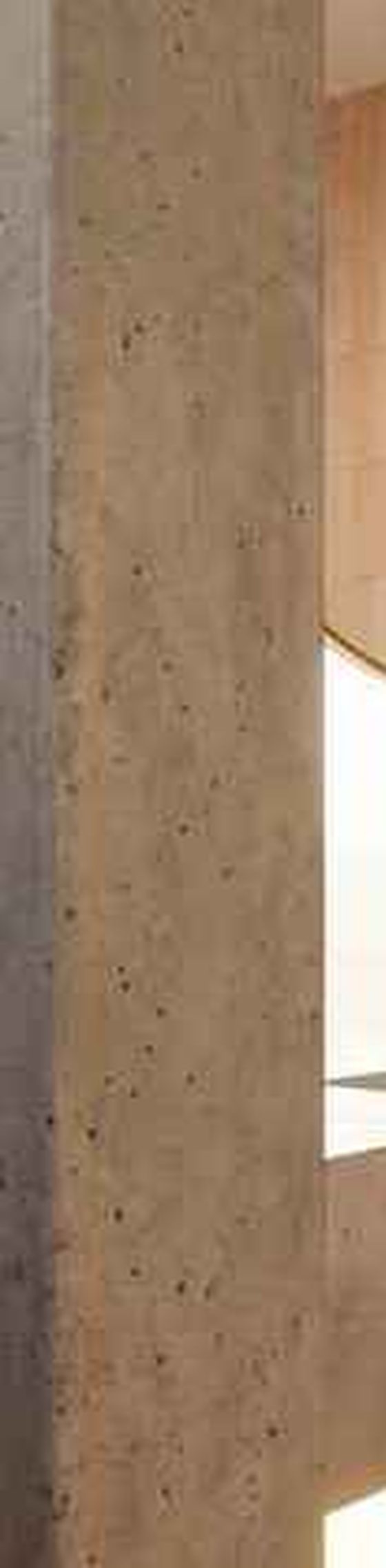 Bone plaster walls